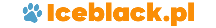 iceblack logo